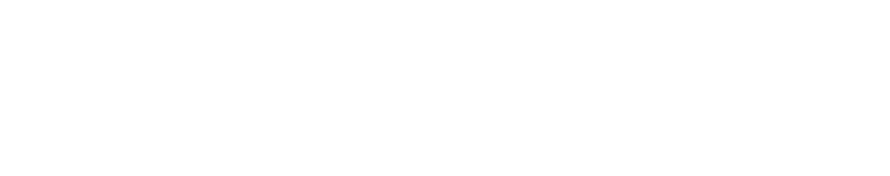 Amada Senior Care